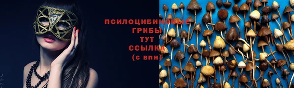 прущий лед Верея