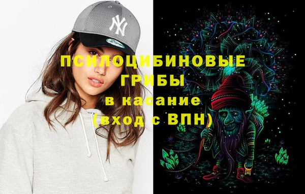 прущий лед Верея