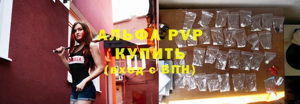 СК Бородино